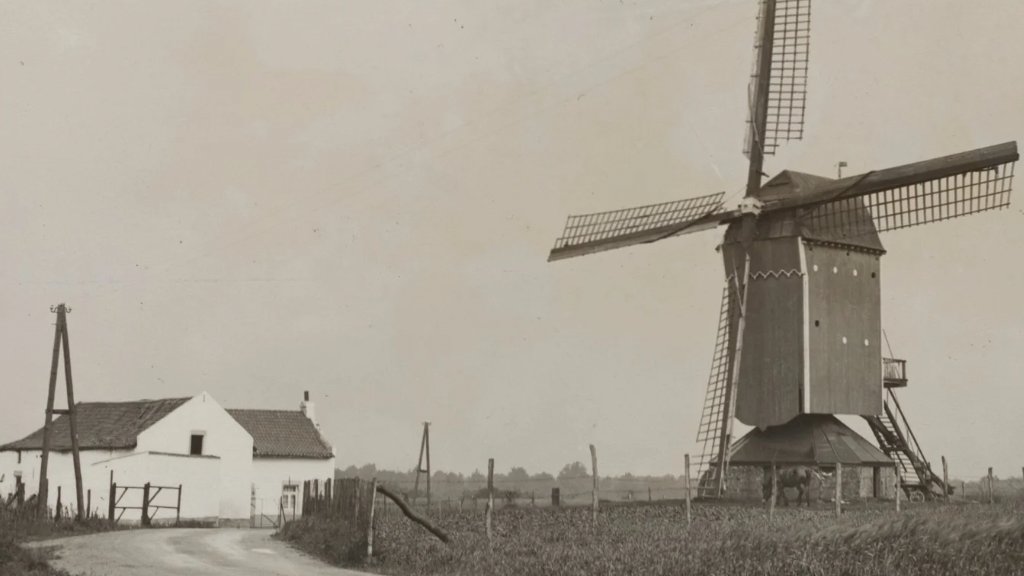 Itse Mail Club (One-time or Monthly Subscription) Dutch/ English